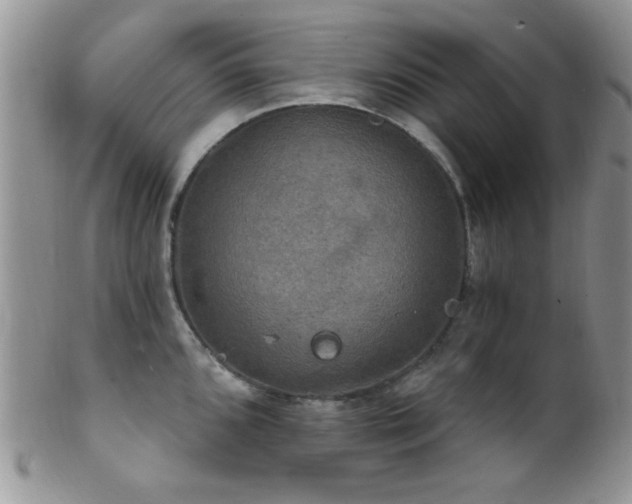 X0000102241096200807251254