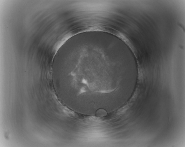 X0000102241097200807251254