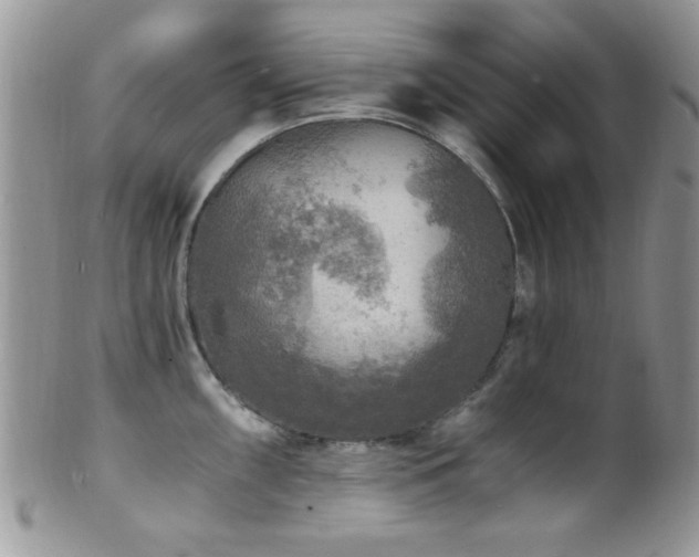 X0000102241098200807251254