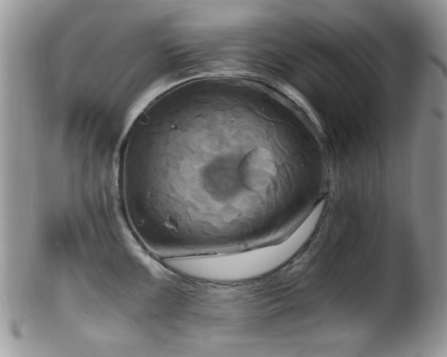 X0000102241099200807251254