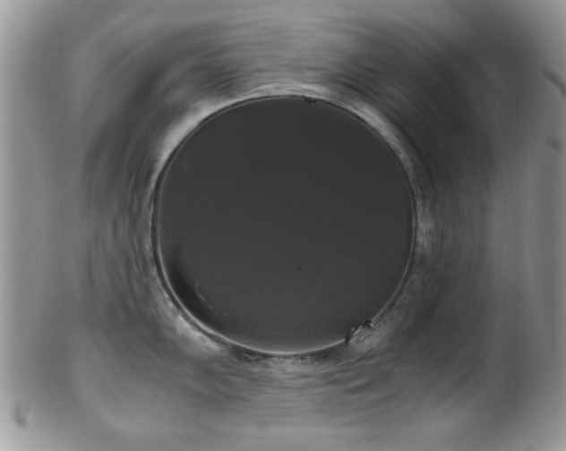 X0000102241102200807251254