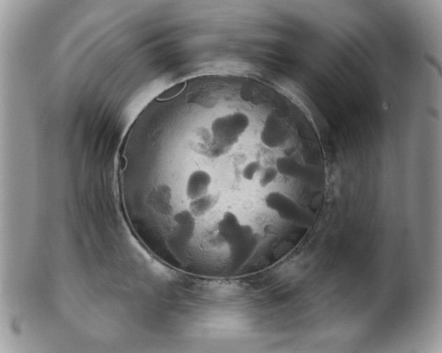 X0000102241103200807251254