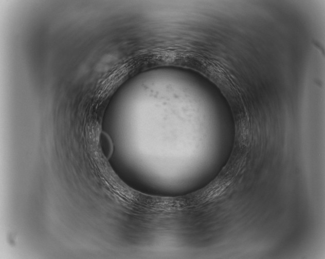 X0000102241105200807251253