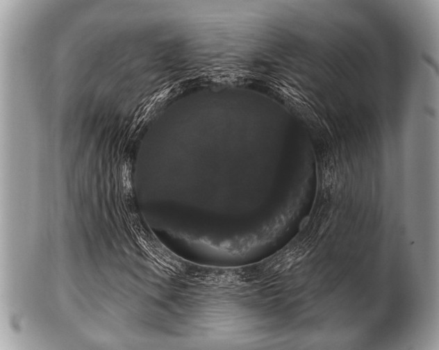 X0000102241106200807251253