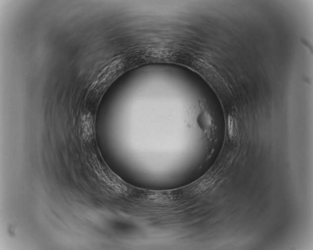 X0000102241107200807251253