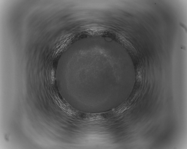 X0000102241108200807251253