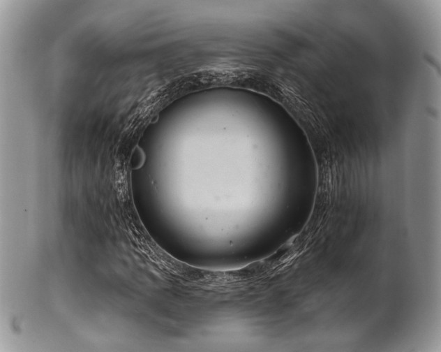 X0000102241109200807251253