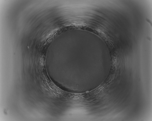 X0000102241110200807251253