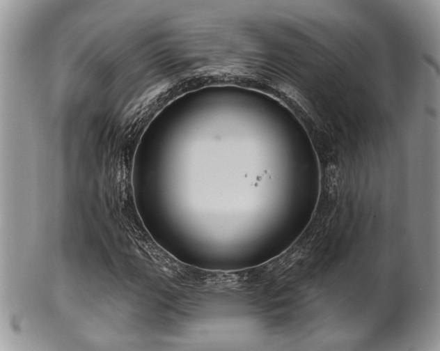 X0000102241111200807251253