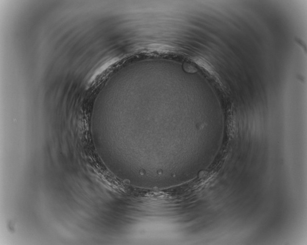 X0000102241112200807251253