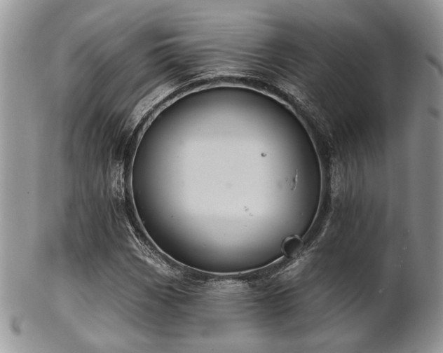 X0000102241113200807251253