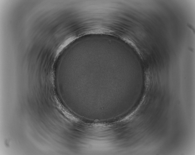 X0000102241114200807251253