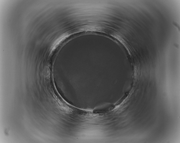 X0000102241115200807251253