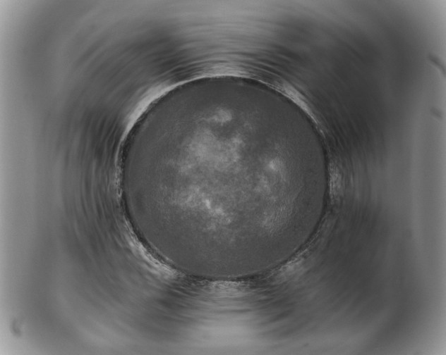 X0000102241116200807251253