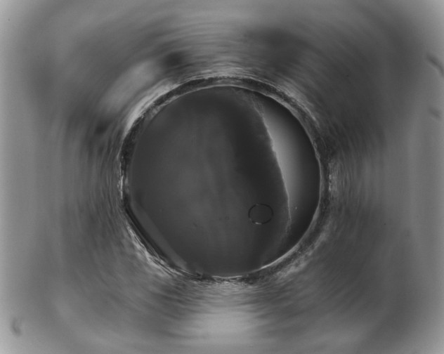 X0000102241117200807251253