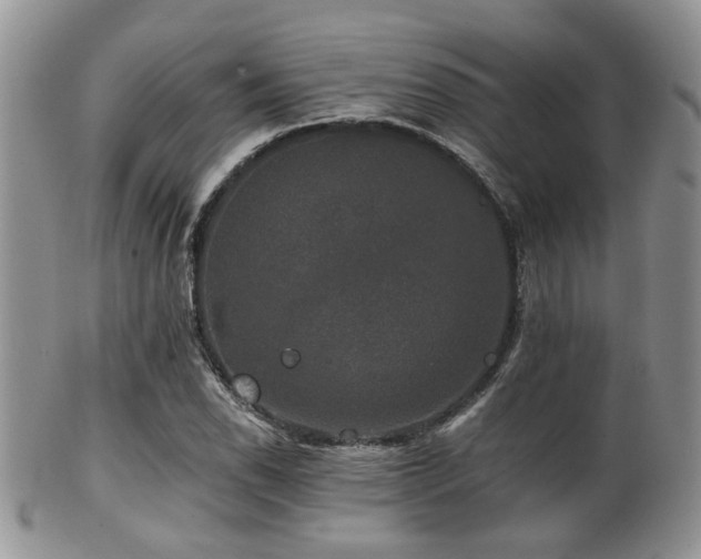 X0000102241118200807251253