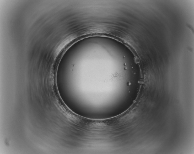 X0000102241119200807251253