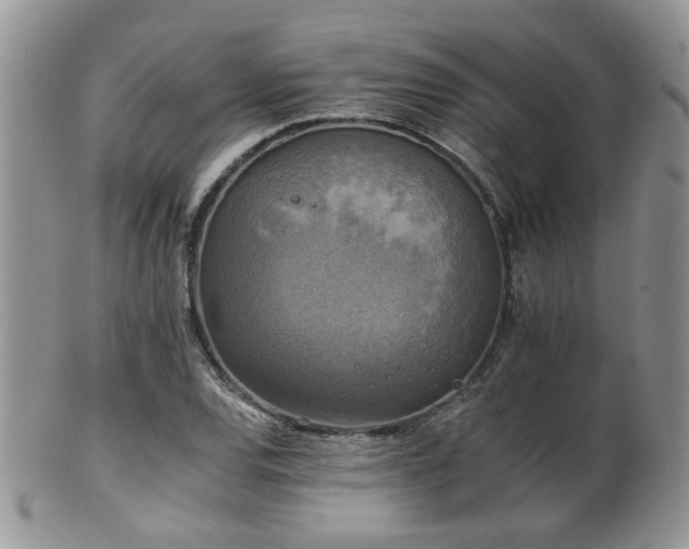 X0000102241120200807251253