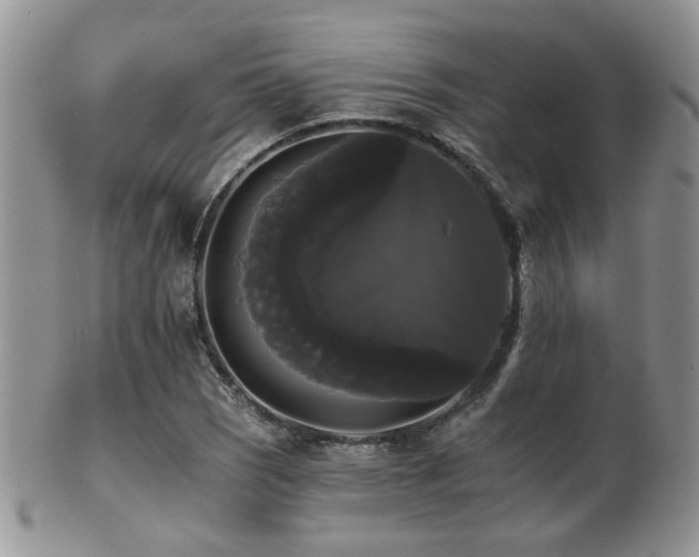 X0000102241121200807251253