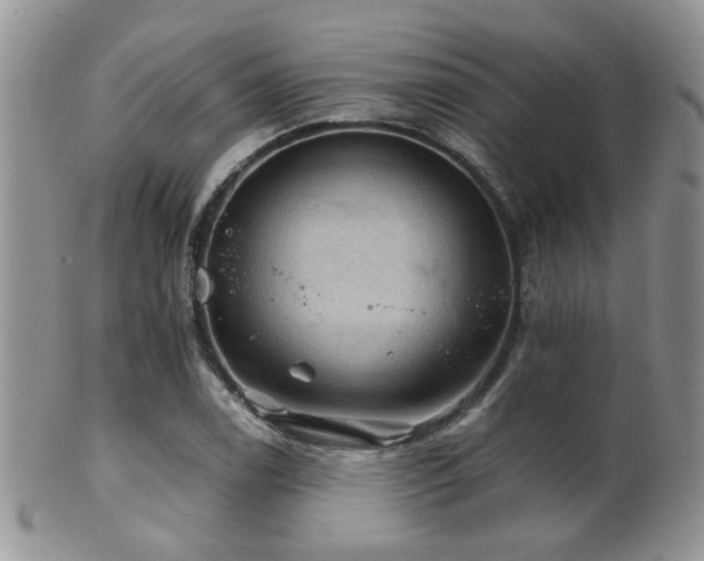 X0000102241122200807251253