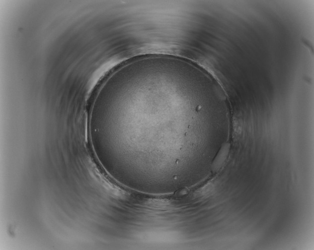 X0000102241123200807251253