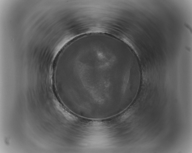 X0000102241124200807251253