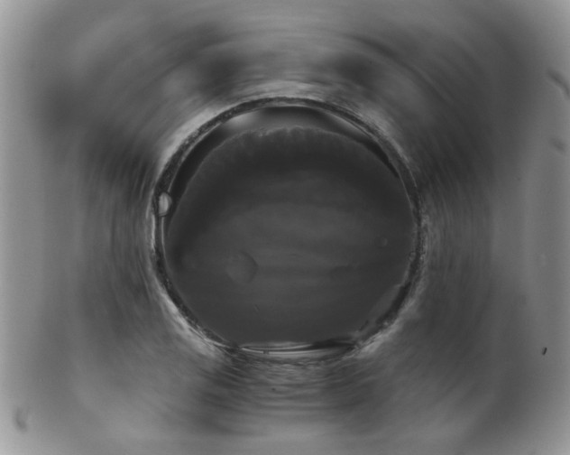 X0000102241125200807251253