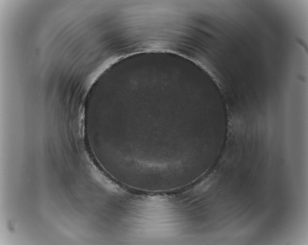 X0000102241126200807251253