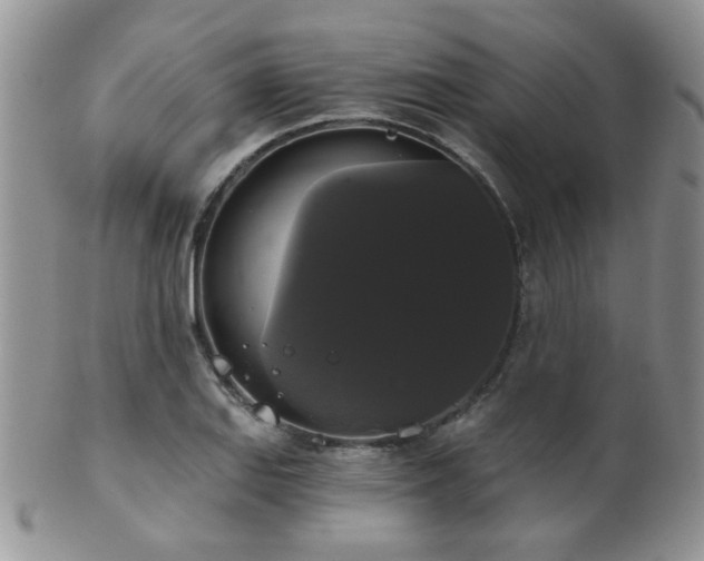 X0000102241127200807251253