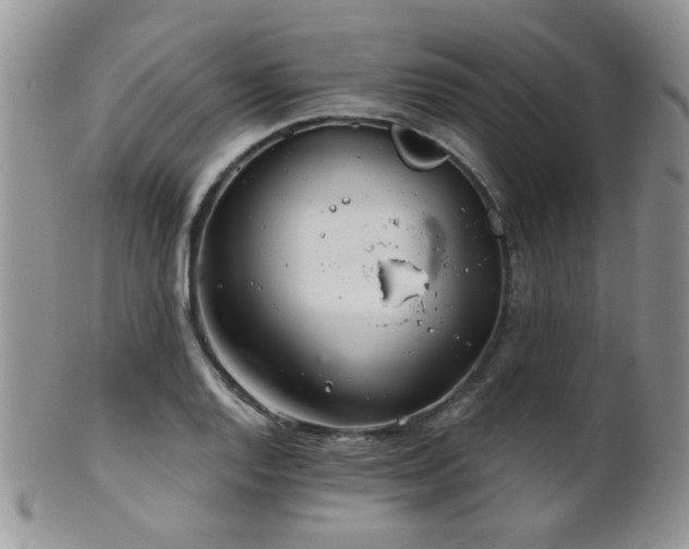 X0000102241128200807251253