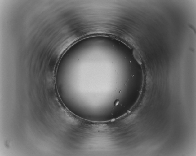 X0000102241129200807251253