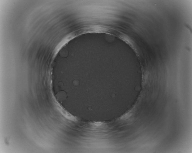 X0000102241130200807251253