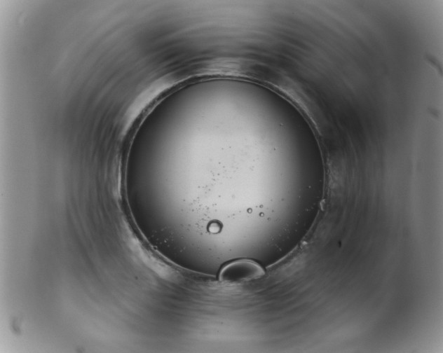 X0000102241131200807251253