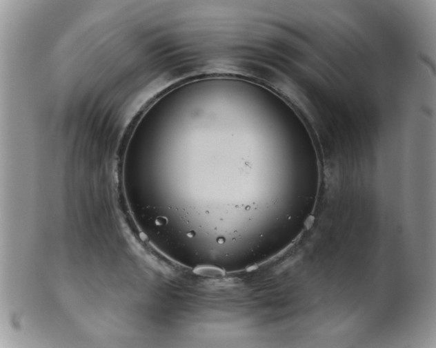 X0000102241133200807251254