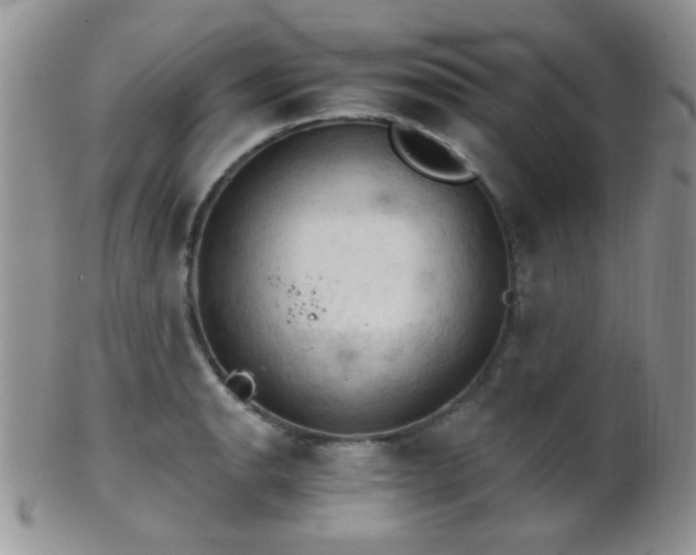 X0000102241134200807251254