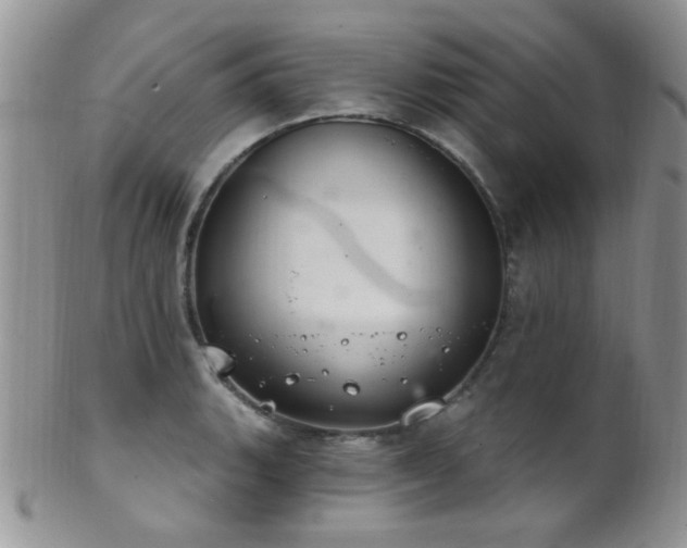 X0000102241135200807251254