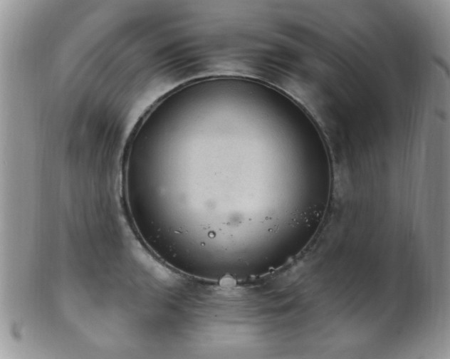 X0000102241136200807251254