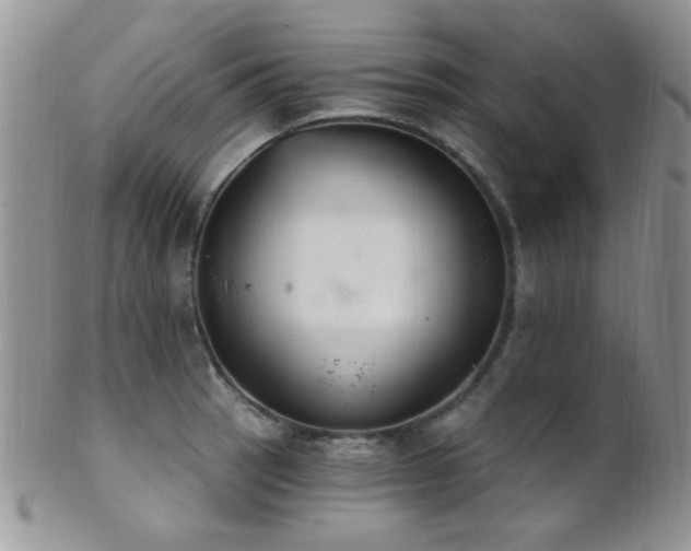 X0000102241137200807251254