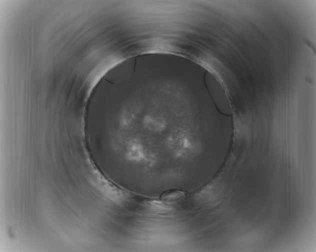 X0000102241138200807251254