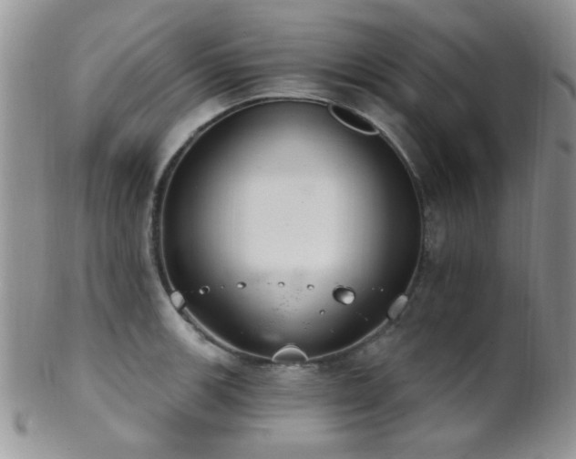 X0000102241139200807251254