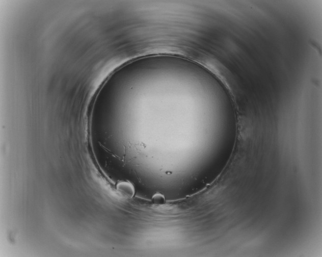 X0000102241140200807251254