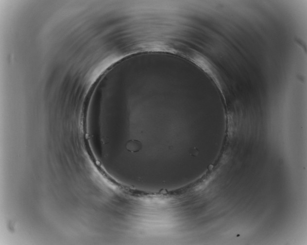 X0000102241141200807251254