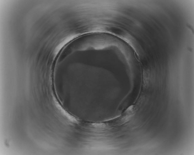 X0000102241142200807251254