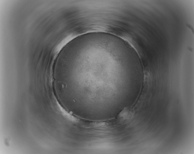 X0000102241143200807251254