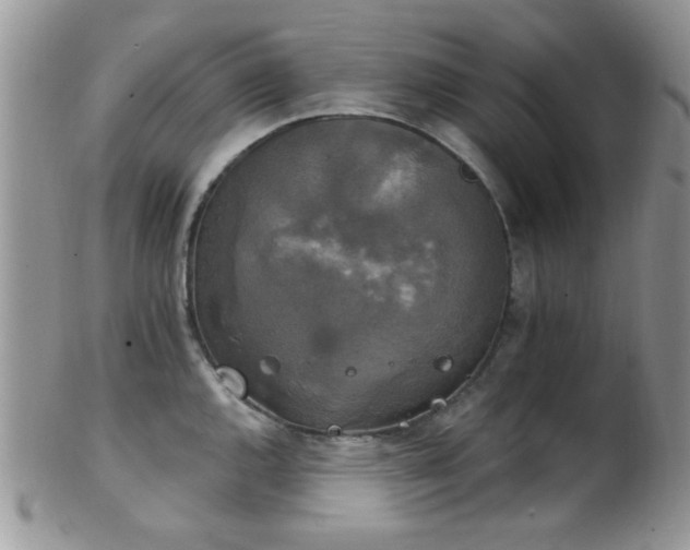 X0000102241144200807251254