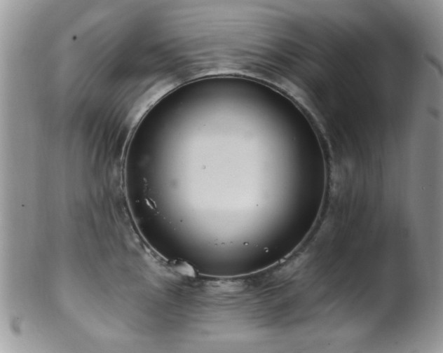 X0000102241145200807251254