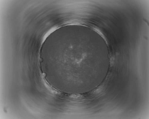 X0000102241146200807251254