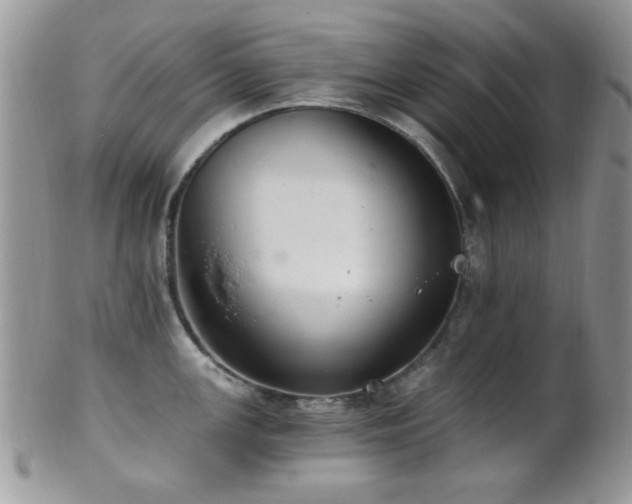 X0000102241147200807251254