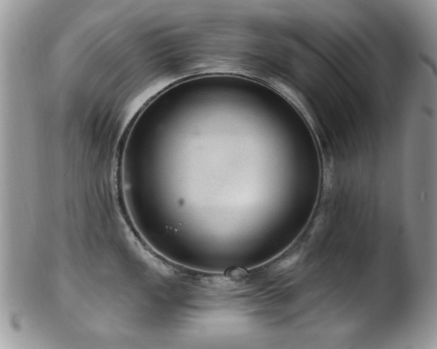 X0000102241149200807251254