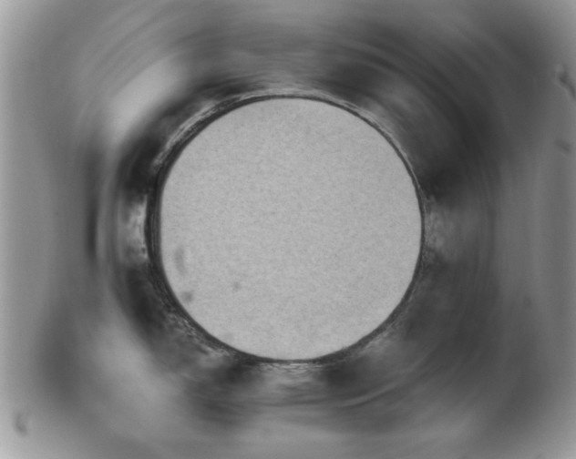 X0000102241150200807251254